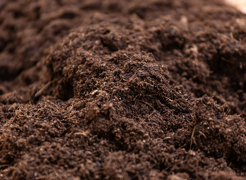 Sandy Loom Topsoil Close-up of sandy loom topsoil texture